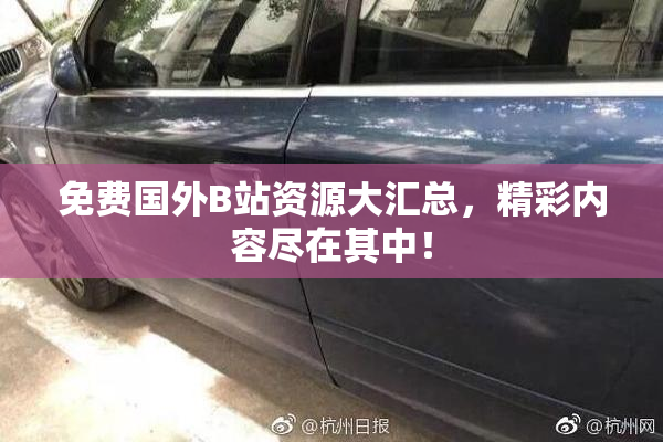 免费国外B站资源大汇总，精彩内容尽在其中！