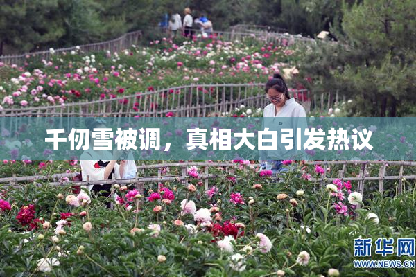千仞雪被调，真相大白引发热议