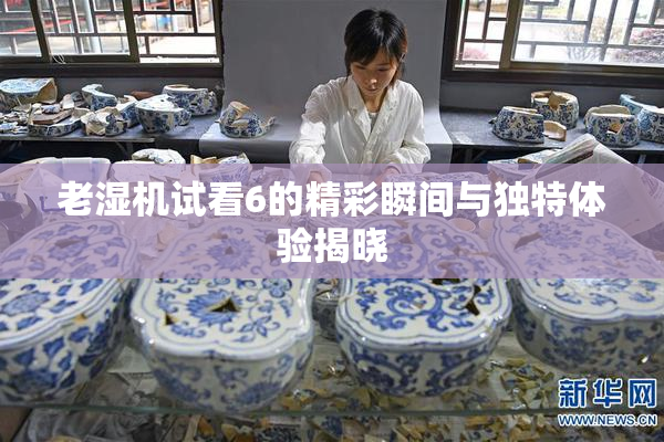 老湿机试看6的精彩瞬间与独特体验揭晓