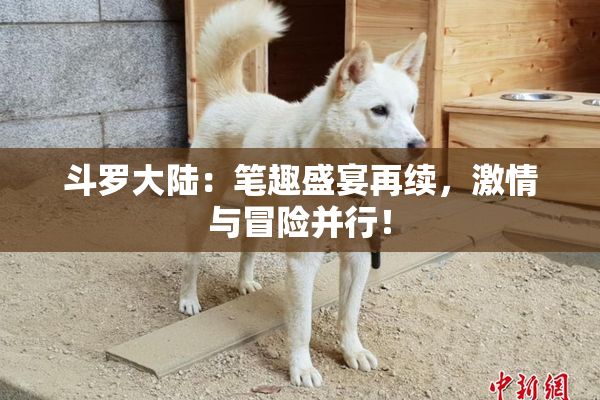 斗罗大陆：笔趣盛宴再续，激情与冒险并行！