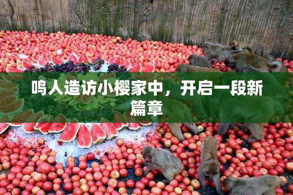 鸣人造访小樱家中，开启一段新篇章