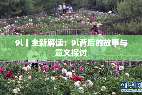 9l丨全新解读：9l背后的故事与意义探讨