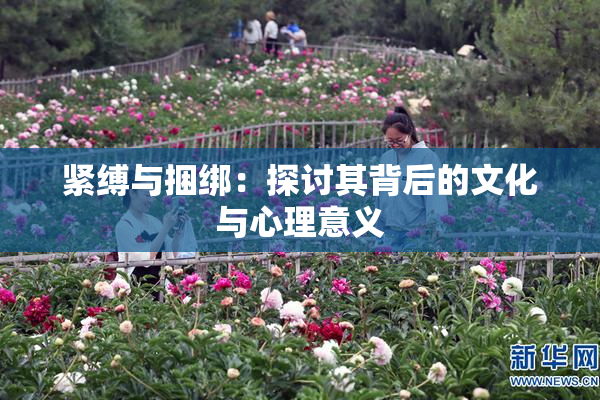 紧缚与捆绑：探讨其背后的文化与心理意义