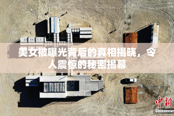 美女被曝光背后的真相揭晓，令人震惊的秘密揭幕