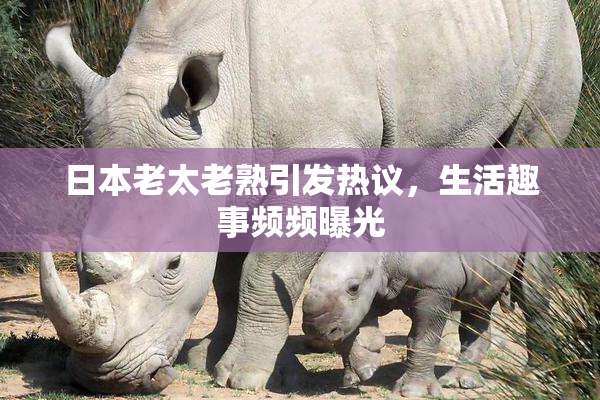 日本老太老熟引发热议，生活趣事频频曝光