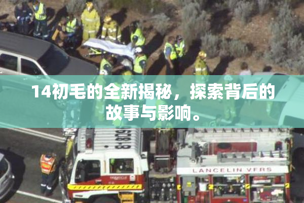 14初毛的全新揭秘，探索背后的故事与影响。
