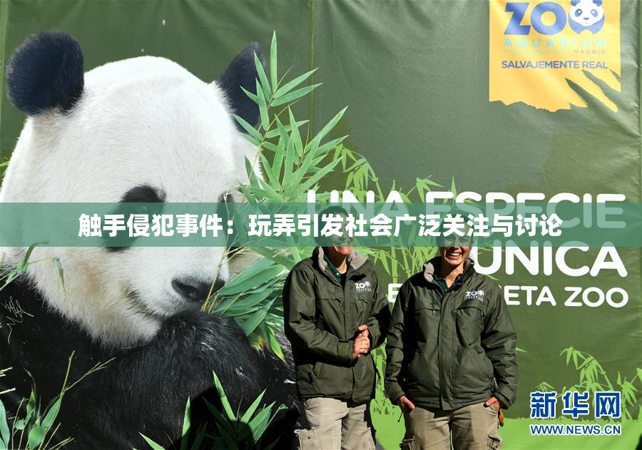 触手侵犯事件：玩弄引发社会广泛关注与讨论