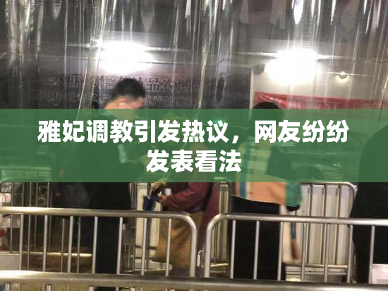 雅妃调教引发热议，网友纷纷发表看法