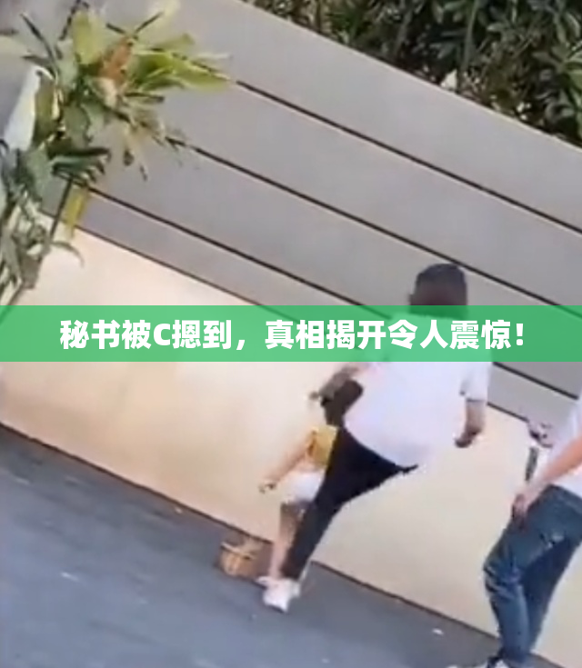 秘书被C摁到，真相揭开令人震惊！