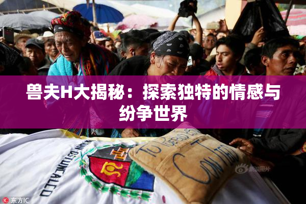 兽夫H大揭秘：探索独特的情感与纷争世界