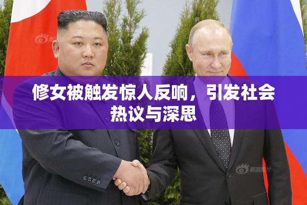修女被触发惊人反响，引发社会热议与深思