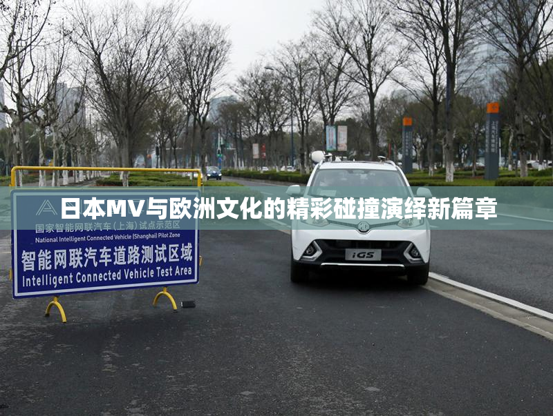 日本MV与欧洲文化的精彩碰撞演绎新篇章