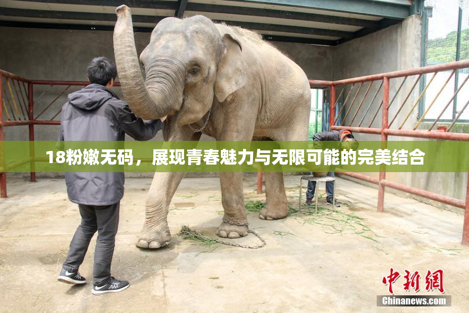 18粉嫩无码，展现青春魅力与无限可能的完美结合