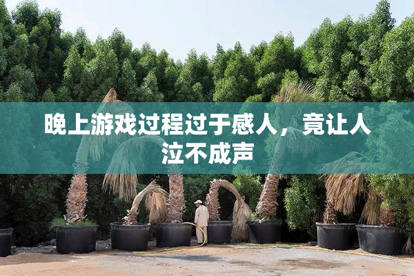 晚上游戏过程过于感人，竟让人泣不成声