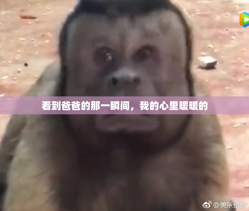 看到爸爸的那一瞬间，我的心里暖暖的