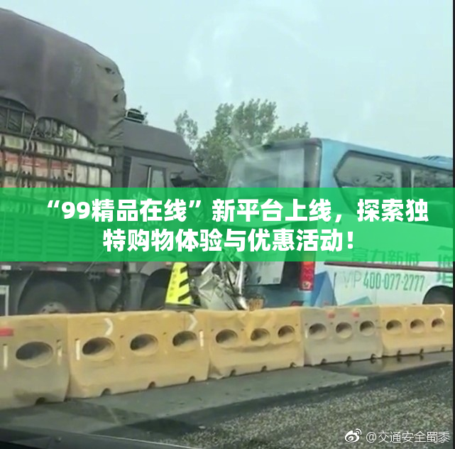 “99精品在线”新平台上线，探索独特购物体验与优惠活动！