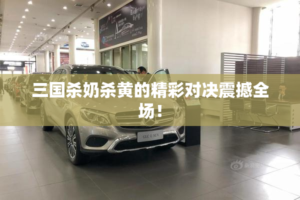 三国杀奶杀黄的精彩对决震撼全场！
