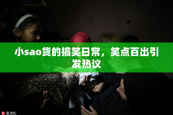 小sao货的搞笑日常，笑点百出引发热议