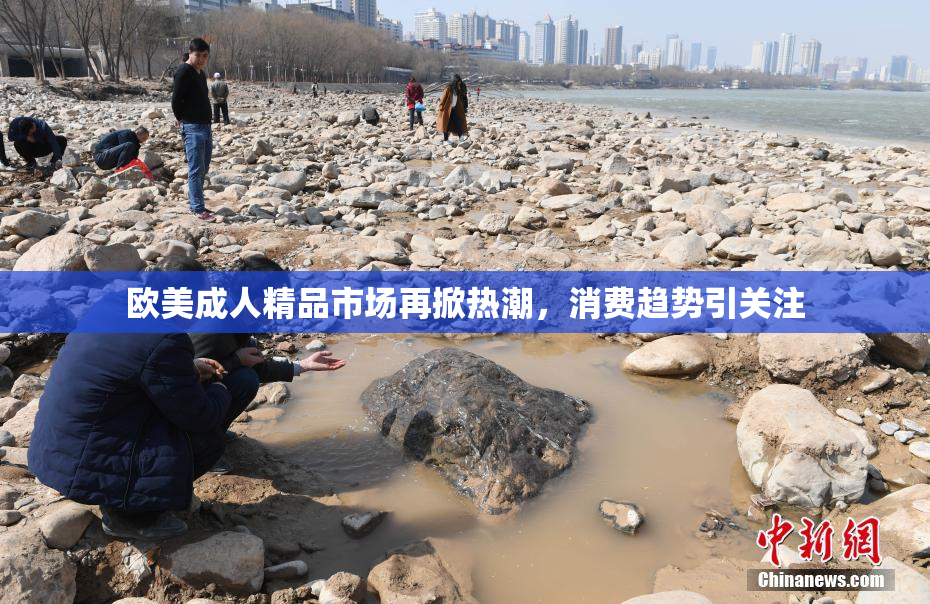 欧美成人精品市场再掀热潮，消费趋势引关注