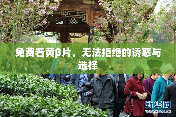 免费看黄β片，无法拒绝的诱惑与选择