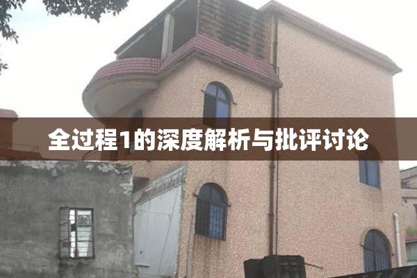 全过程1的深度解析与批评讨论
