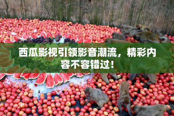西瓜影视引领影音潮流，精彩内容不容错过！