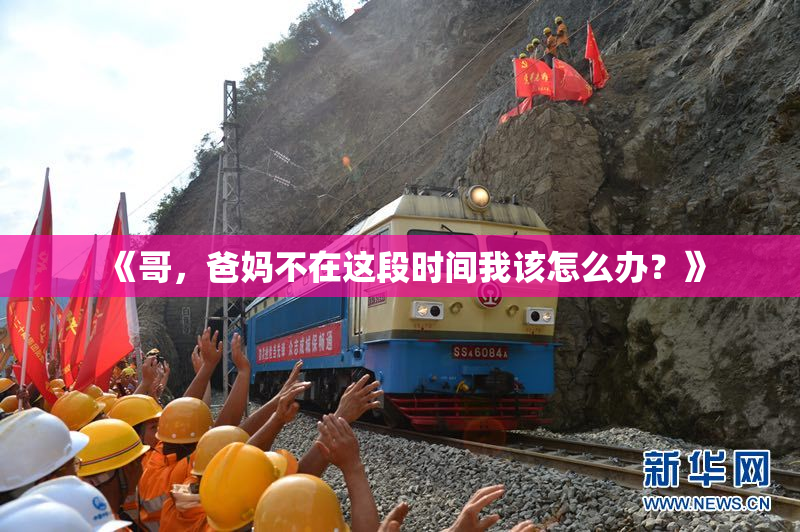 《哥，爸妈不在这段时间我该怎么办？》