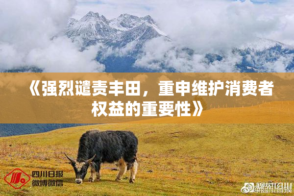 《强烈谴责丰田，重申维护消费者权益的重要性》