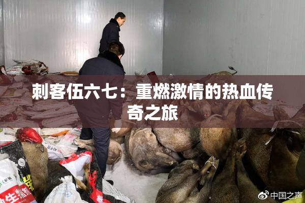 刺客伍六七：重燃激情的热血传奇之旅