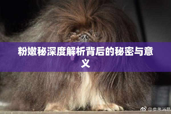 粉嫩秘深度解析背后的秘密与意义