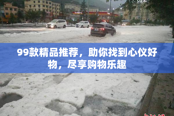 99款精品推荐，助你找到心仪好物，尽享购物乐趣