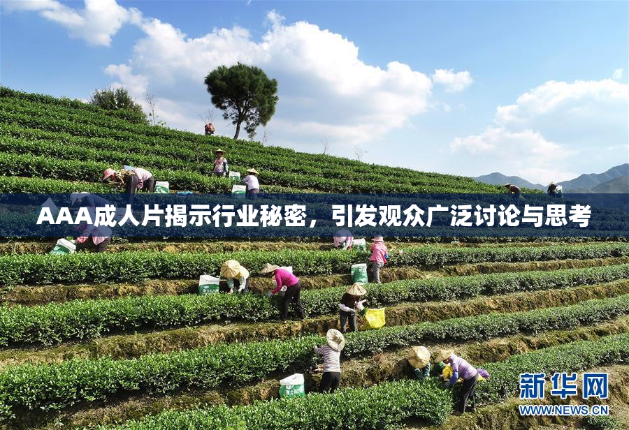 AAA成人片揭示行业秘密，引发观众广泛讨论与思考