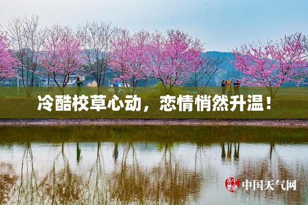 冷酷校草心动，恋情悄然升温！
