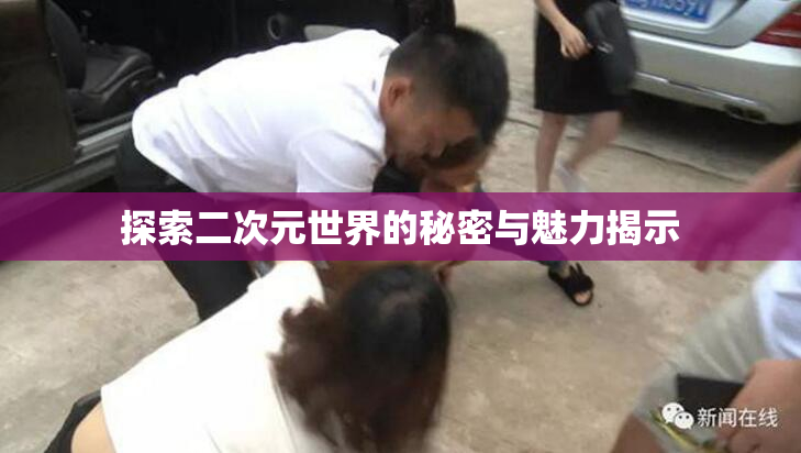 探索二次元世界的秘密与魅力揭示