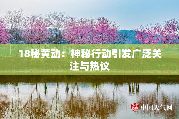 18秘黄动：神秘行动引发广泛关注与热议