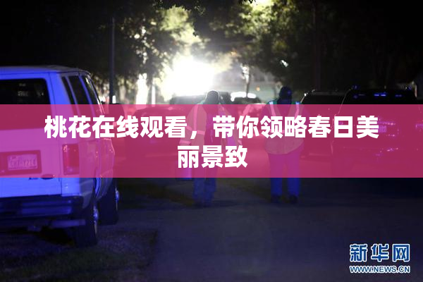 桃花在线观看，带你领略春日美丽景致