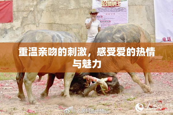 重温亲吻的刺激，感受爱的热情与魅力