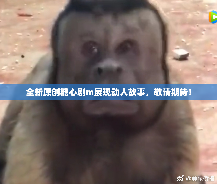 全新原创糖心剧m展现动人故事，敬请期待！