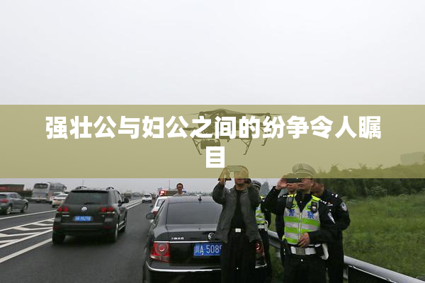 强壮公与妇公之间的纷争令人瞩目