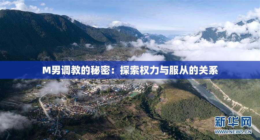 M男调教的秘密：探索权力与服从的关系
