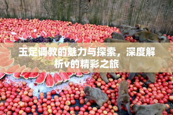 玉足调教的魅力与探索，深度解析v的精彩之旅