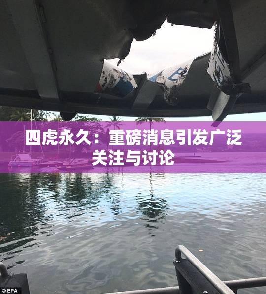 四虎永久：重磅消息引发广泛关注与讨论