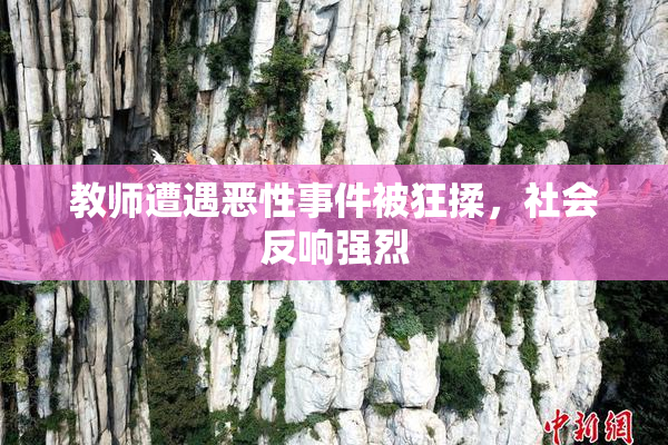 教师遭遇恶性事件被狂揉，社会反响强烈