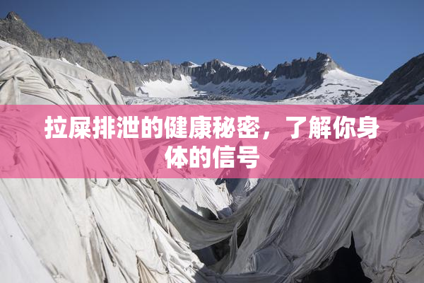 拉屎排泄的健康秘密，了解你身体的信号
