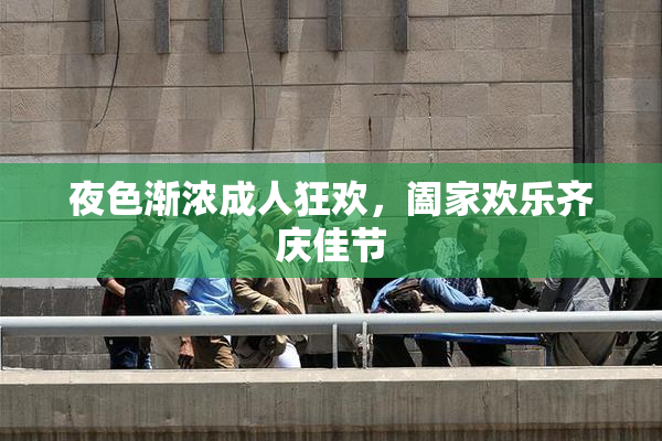夜色渐浓成人狂欢，阖家欢乐齐庆佳节