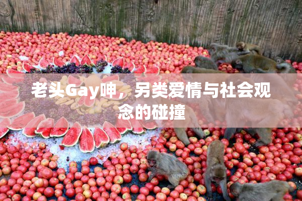 老头Gay呻，另类爱情与社会观念的碰撞