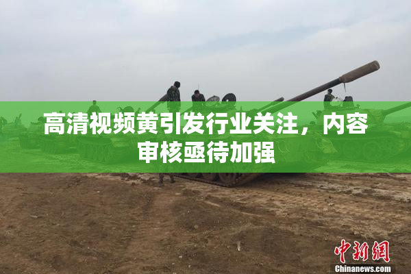 高清视频黄引发行业关注，内容审核亟待加强