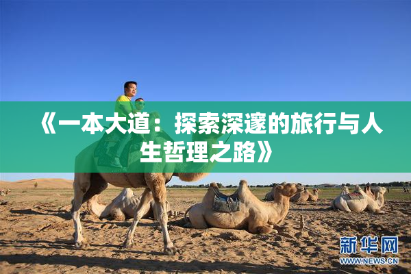 《一本大道：探索深邃的旅行与人生哲理之路》