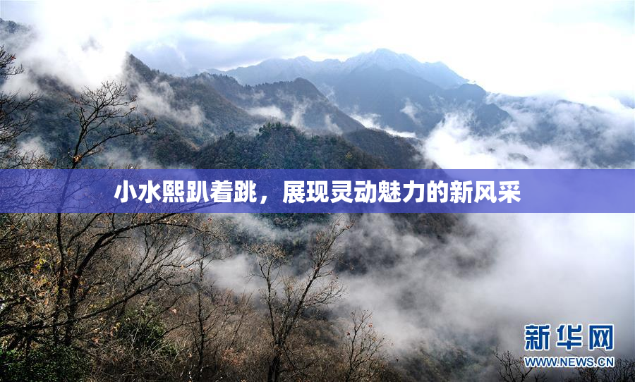 小水熙趴着跳，展现灵动魅力的新风采