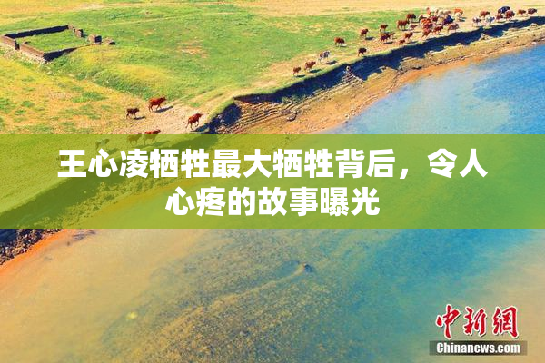 王心凌牺牲最大牺牲背后，令人心疼的故事曝光